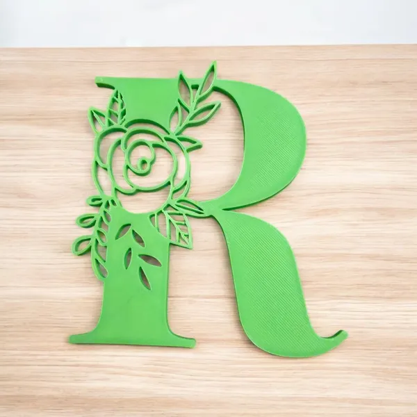 https://makerworld.bblmw.com/makerworld/model/USb2552a2143bc5c/design/2025-01-20_3c5d157a134a6.jpg