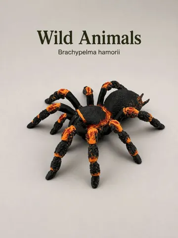 Figura decorativa: Mexican Red Knee Spider — vista de referencia 2