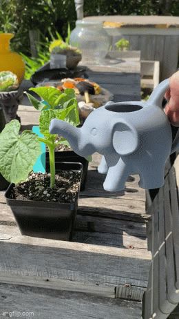https://makerworld.bblmw.com/makerworld/model/USb26340011b1a59/design/2025-04-23_17c33c21c80a18.gif