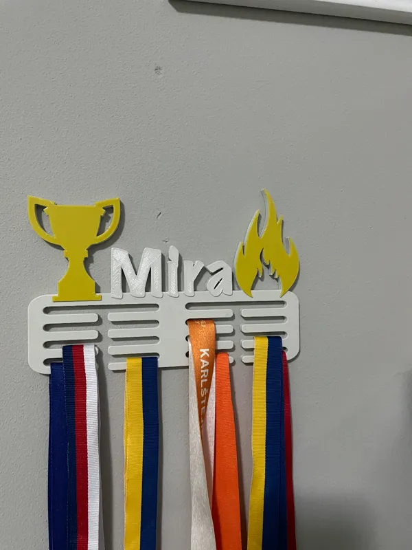 https://makerworld.bblmw.com/makerworld/model/USb2649066b88477/design/2024-01-22_2fa02ddbee863.jpg