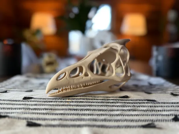 https://makerworld.bblmw.com/makerworld/model/USb264ac8d662e8f/design/2025-03-14_2095f545fd9a6.jpg