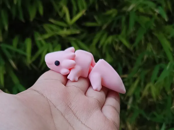 https://makerworld.bblmw.com/makerworld/model/USb27161cef61471/design/2025-06-09_f0849062ef8998.png