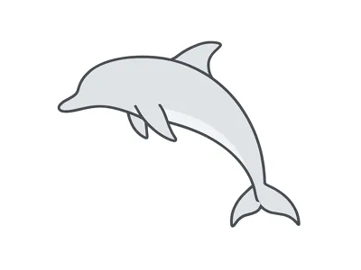 Flexi Dolphin