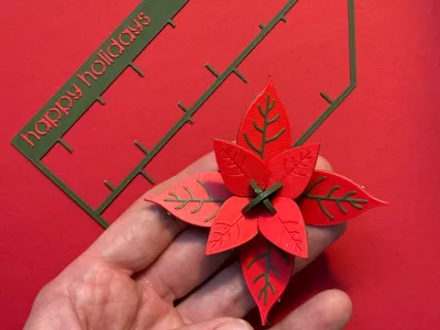 Poinsettia puzzle