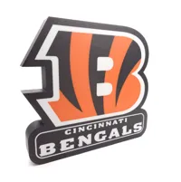 Cincinnati Bengals LED Light Box