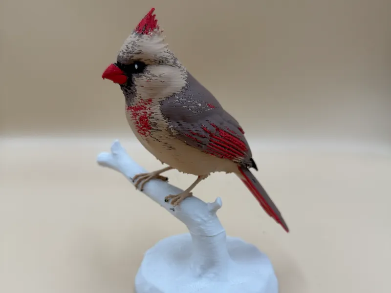 Female Crimson Crest Cardinal