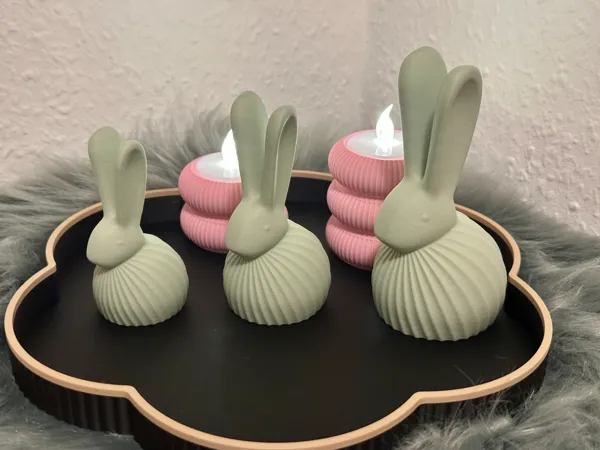 https://makerworld.bblmw.com/makerworld/model/USb2892edb5157cc/design/94eaf64327f6e5f3.jpeg