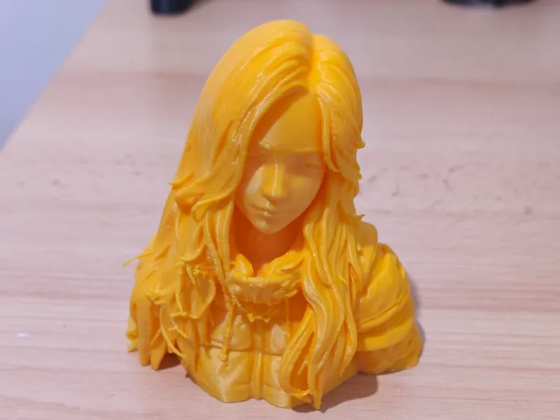 Busto Diana Pragmata