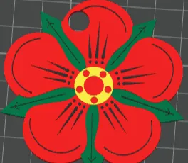 Papaver rhoeas 