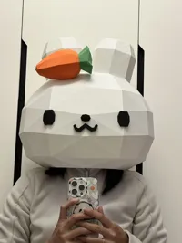 H2D版本,仅10片,更易拼装