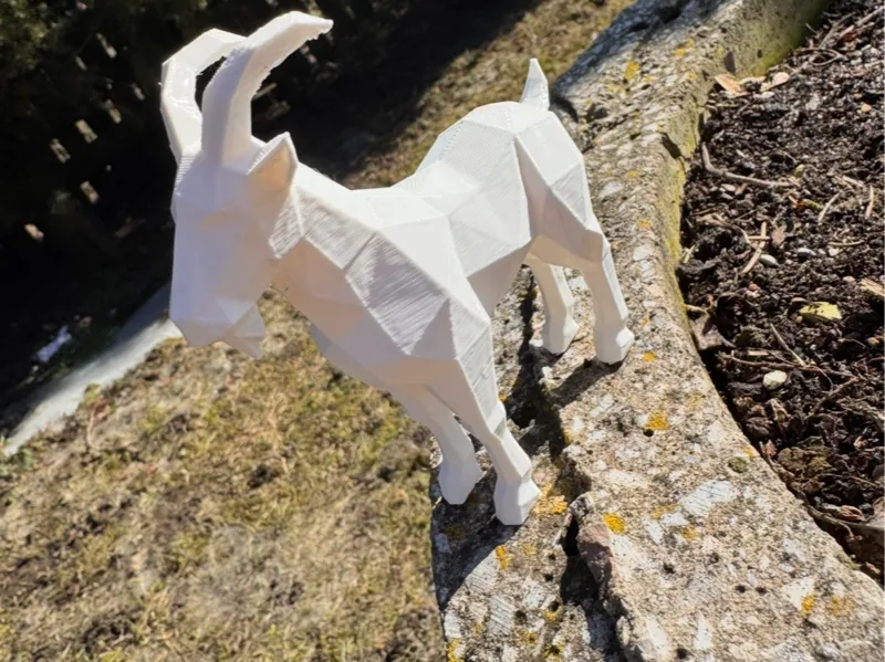 Goat Geometry