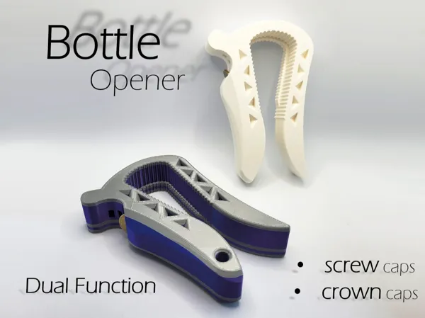 https://makerworld.bblmw.com/makerworld/model/USb29bb5640f3844/design/2025-02-14_eeaaa7b6f78948.jpg