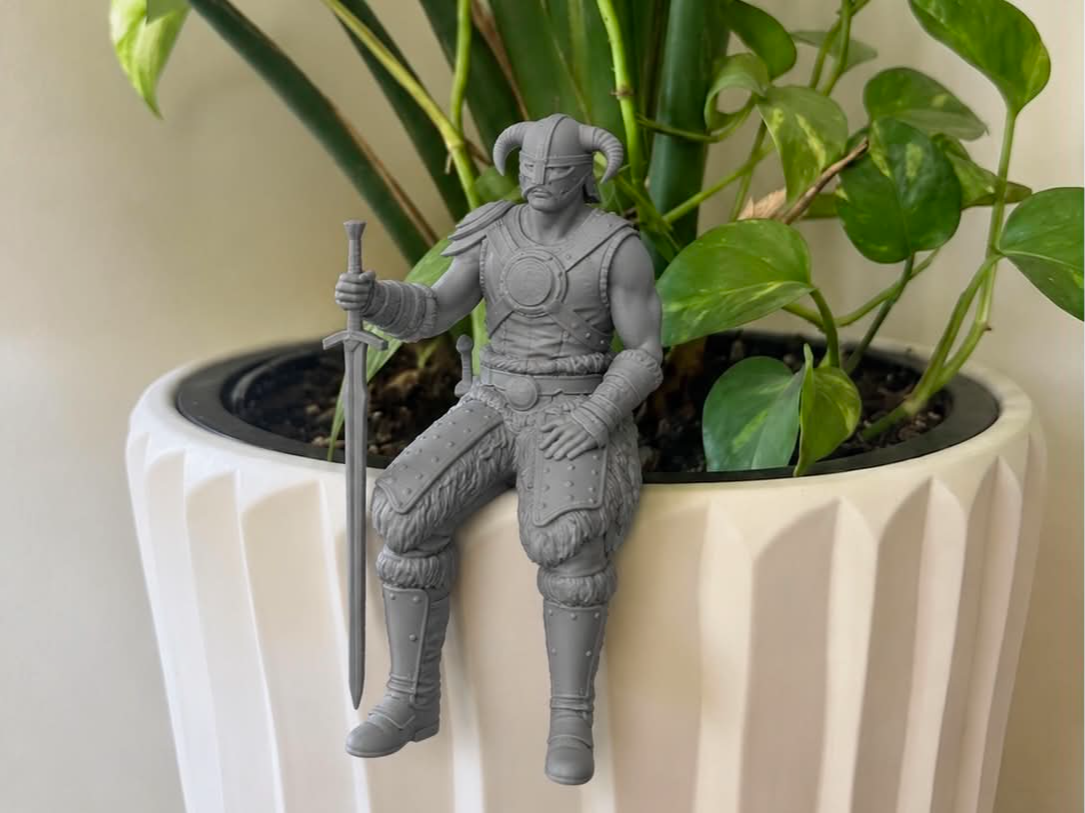 Skyrim - Dovahkiin "Shelf Sitter"