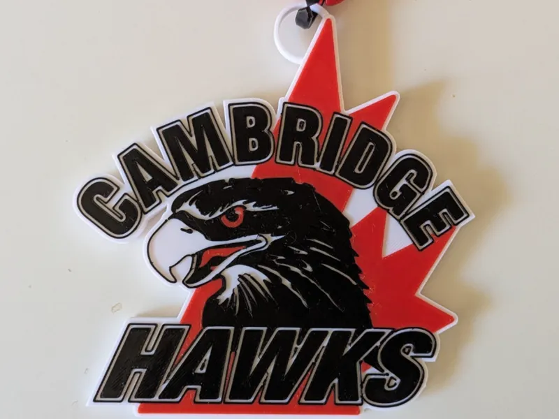Cambridge Hawks Oversize Pendant Chain