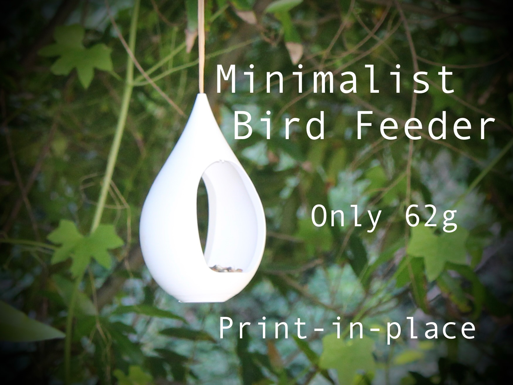 Minimalist Bird Feeder