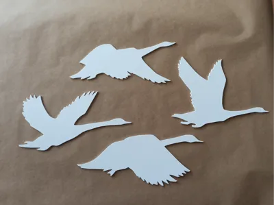Canada Goose Wall Art (2D)