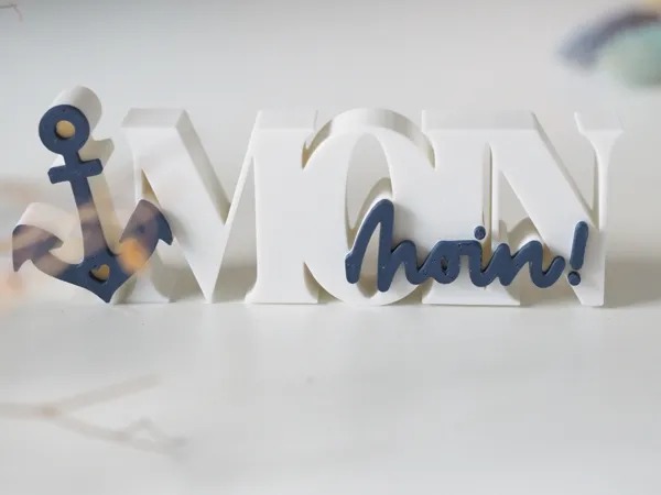 https://makerworld.bblmw.com/makerworld/model/USb2b1f612d2ca25/design/2025-05-26_0d6d920e35488.jpg