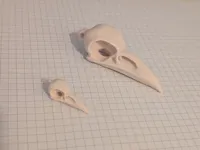 Boucles d'oreilles et pendentif crâne de corbeau — photo 3