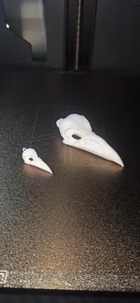 Boucles d'oreilles et pendentif crâne de corbeau — photo 2