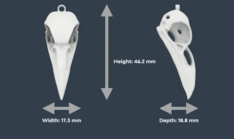 Crow Skull earrings & pendant view 2