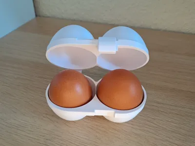 Egg Travel Case
