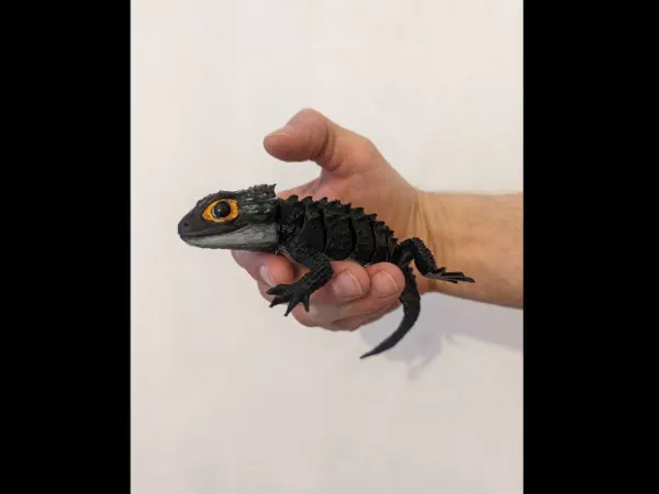 https://makerworld.bblmw.com/makerworld/model/USb2bbc95088b28e/design/d3dc3fc4c60fa9a8.jpg