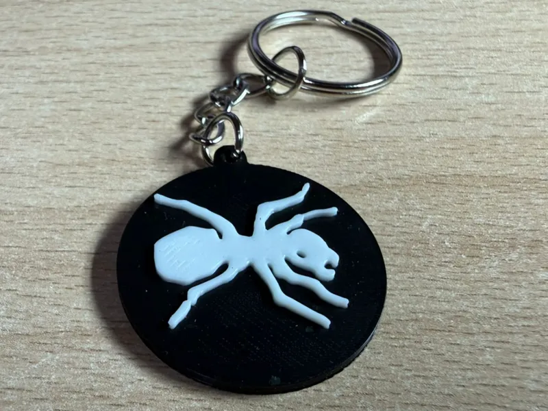 The Prodigy keychain