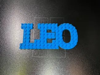 LEO 