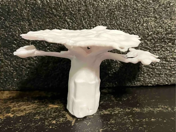 Le baobab