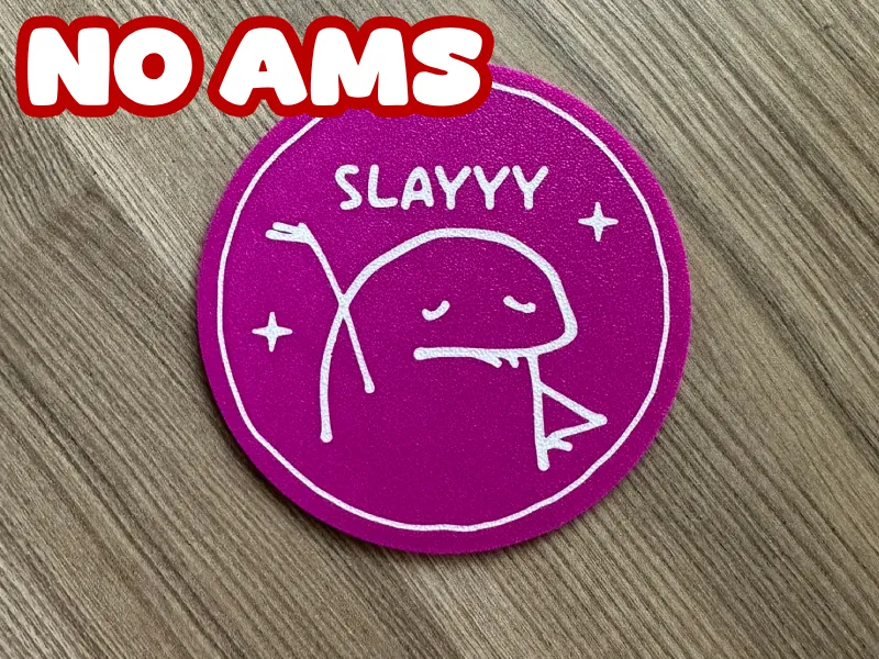 Fun Coaster – SLAYYY Meme (No AMS Required)