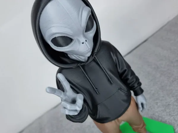 https://makerworld.bblmw.com/makerworld/model/USb2c77a960ffa9a/design/2025-12-10_a5e46faabb0518.jpg