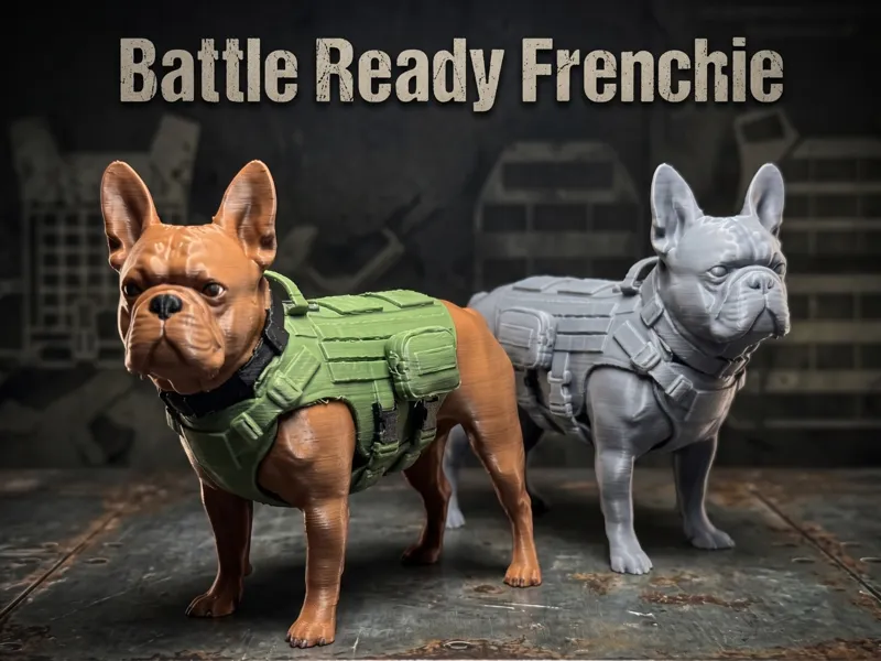 Battle Ready Frenchie: French Bulldog in Tac Vest