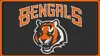 Cincinnati Bengals - (Updated)