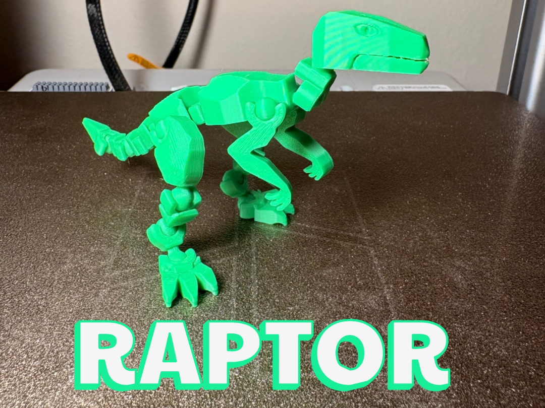 Raptor - 1