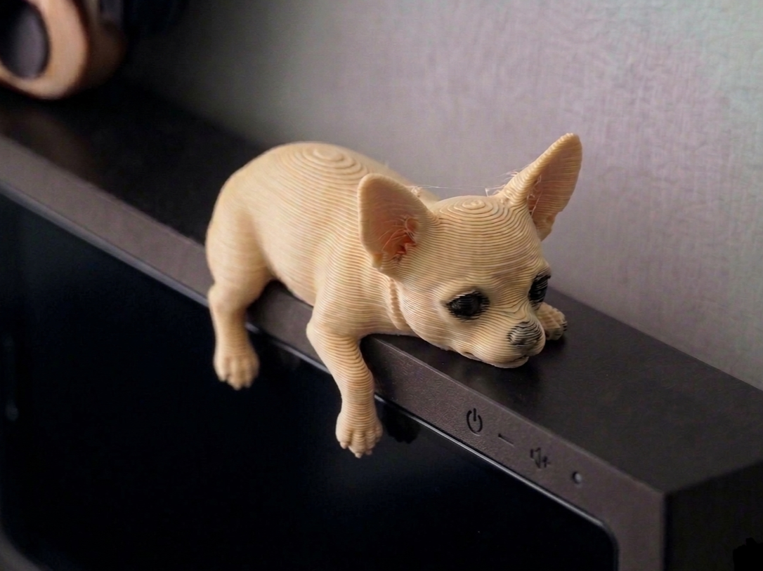Cute Chihuahua - Monitor Buddy