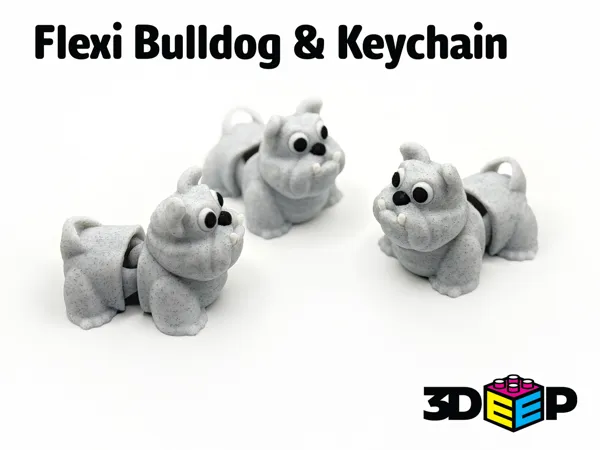 https://makerworld.bblmw.com/makerworld/model/USb2ced4e648ebf/design/2025-03-01_6449ece793013.png