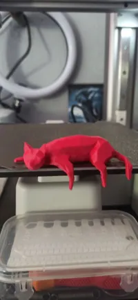 Chat endormi low poly — photo 4