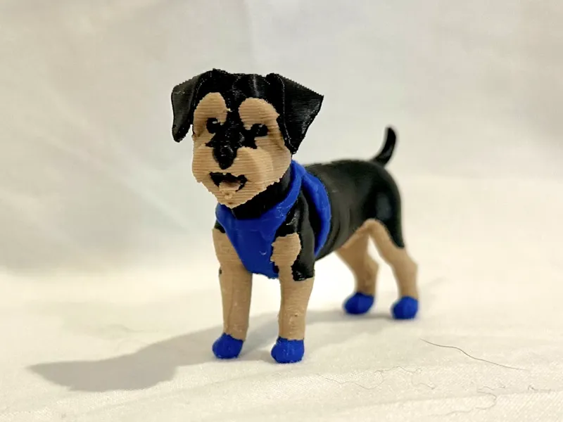 Yorkie dog (short hair)
