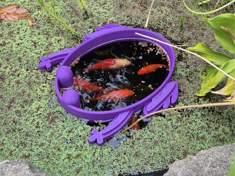 Fish Feeding Portal for Pond
