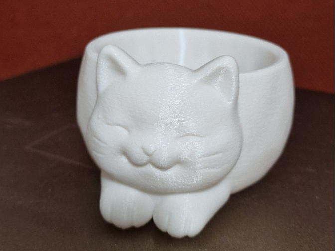 cat bowl