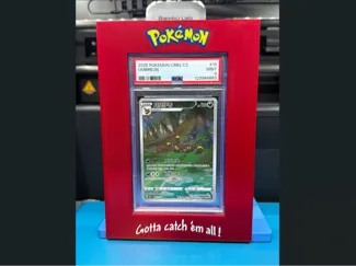 PSA Graded Card Slab Frame