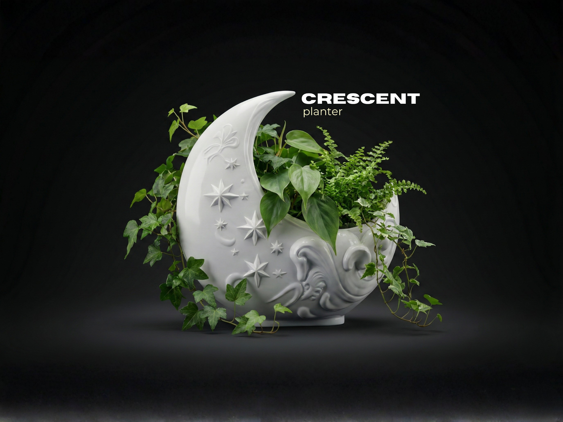 Crescent Moon Planter