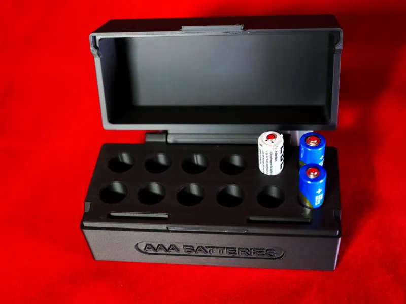 AAA Battery Holder & SD Card Storage Box