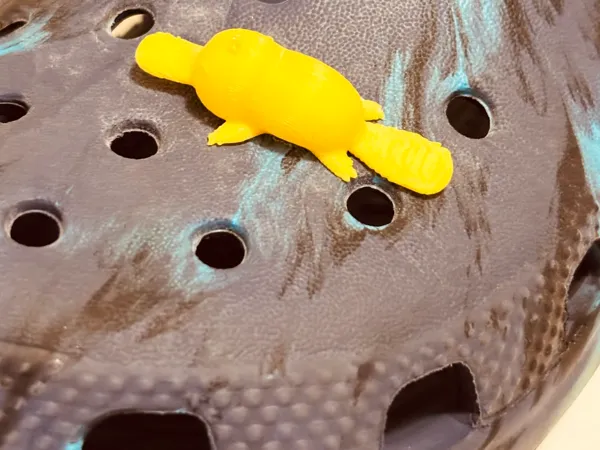 https://makerworld.bblmw.com/makerworld/model/USb2e10773753729/design/2025-05-19_581c74702d6668.png