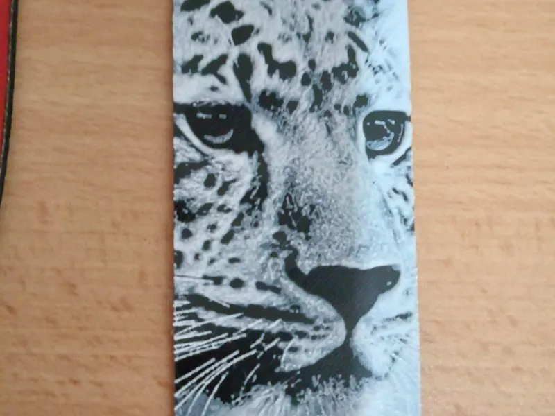 Bookmark African wild life - Leopard