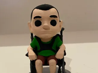 MAN IN A WHEELCHAIR
