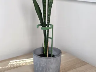 Gentle Plant Support - for long leaves