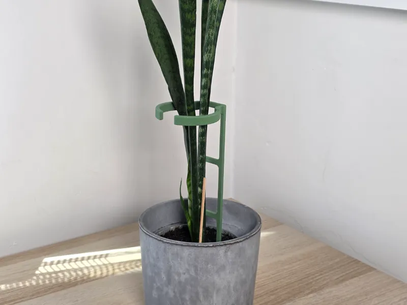 Gentle Plant Support - for long leaves