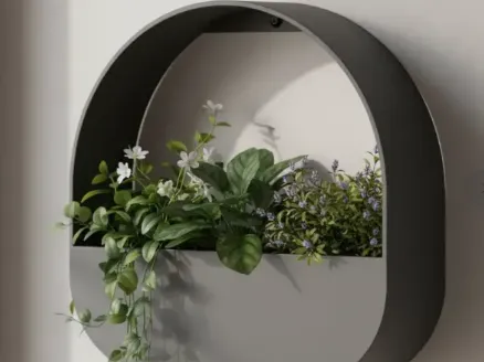 shelf plant
