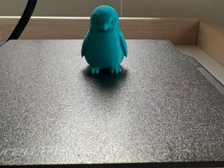 Baby Cute Pigeon